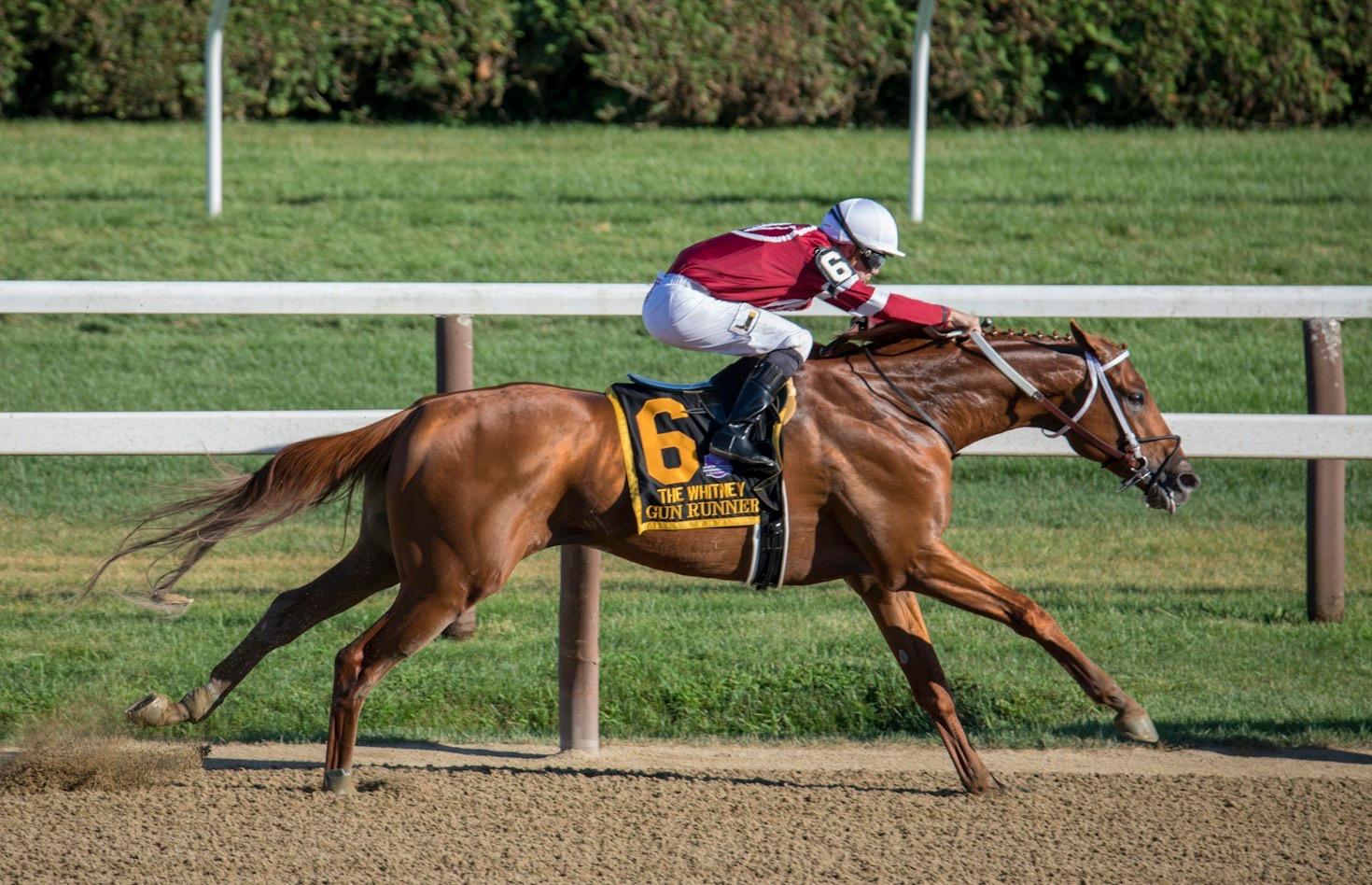 Top Contenders to Watch This Racing Season