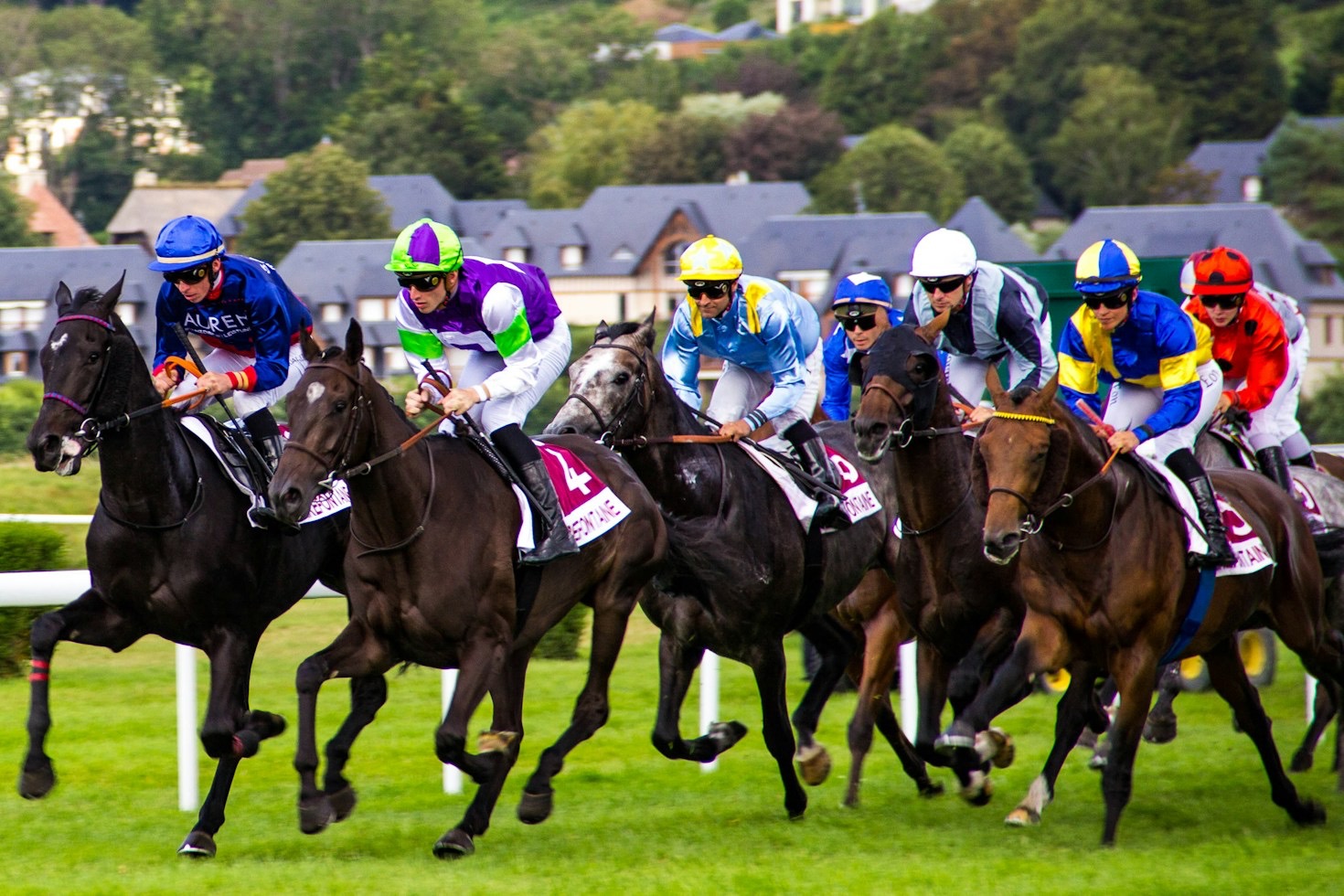 How Social Media Is Transforming Horse Racing Culture