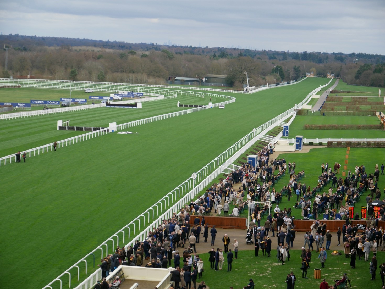 Beginner Guide to Reading Racing Form Guides
