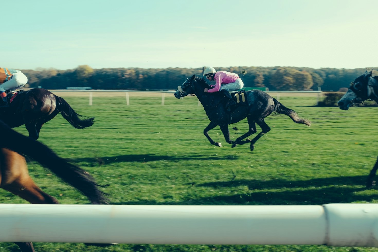 Behind the Scenes with Top Jockeys and Trainers