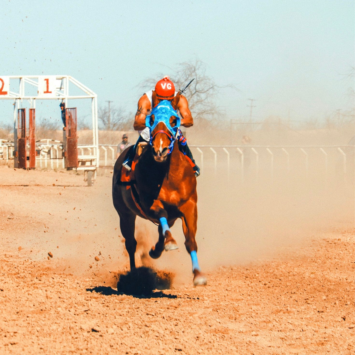 Tracking Track Conditions: Turf Versus Dirt Analysis
